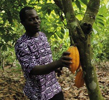 producteur de cacao équitable